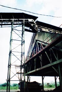 Empty Bunch Conveyor