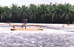 Aerator in usage